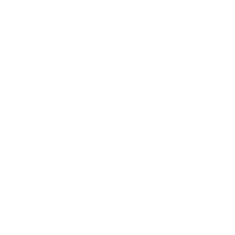 Passport 01